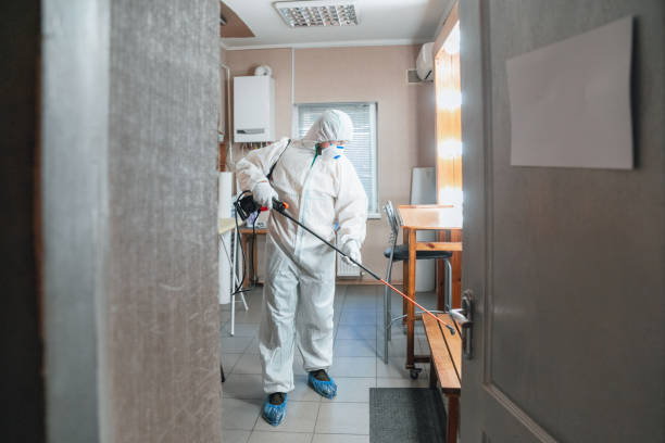 Best Mold Documentation for Insurance Claims  in Buena, NJ