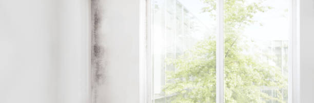 Best HVAC Mold Inspection and Cleaning  in Buena, NJ