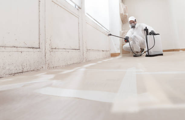 Best Mold Removal for HVAC Installations  in Buena, NJ