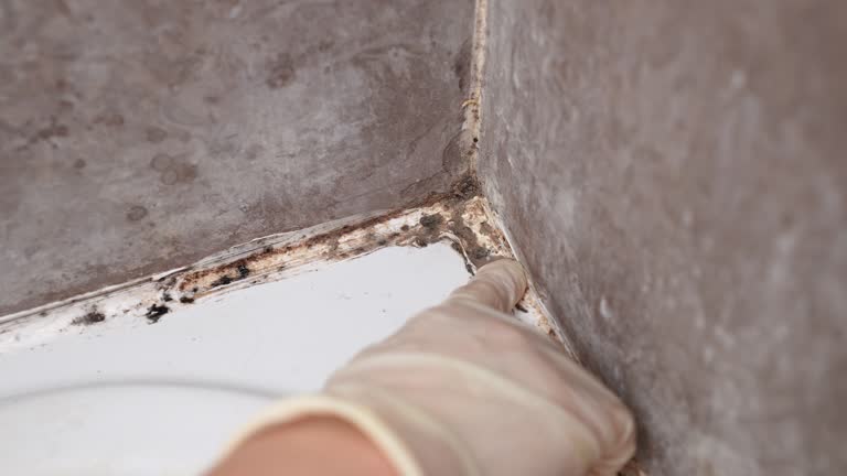 Best Indoor Air Quality Assessment  in Buena, NJ